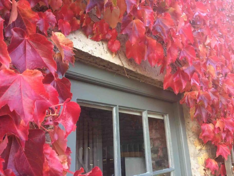 Blacksmith'S Barn - Cosy, Chilled & Dog Friendly. Wykeham  Eksteriør bilde